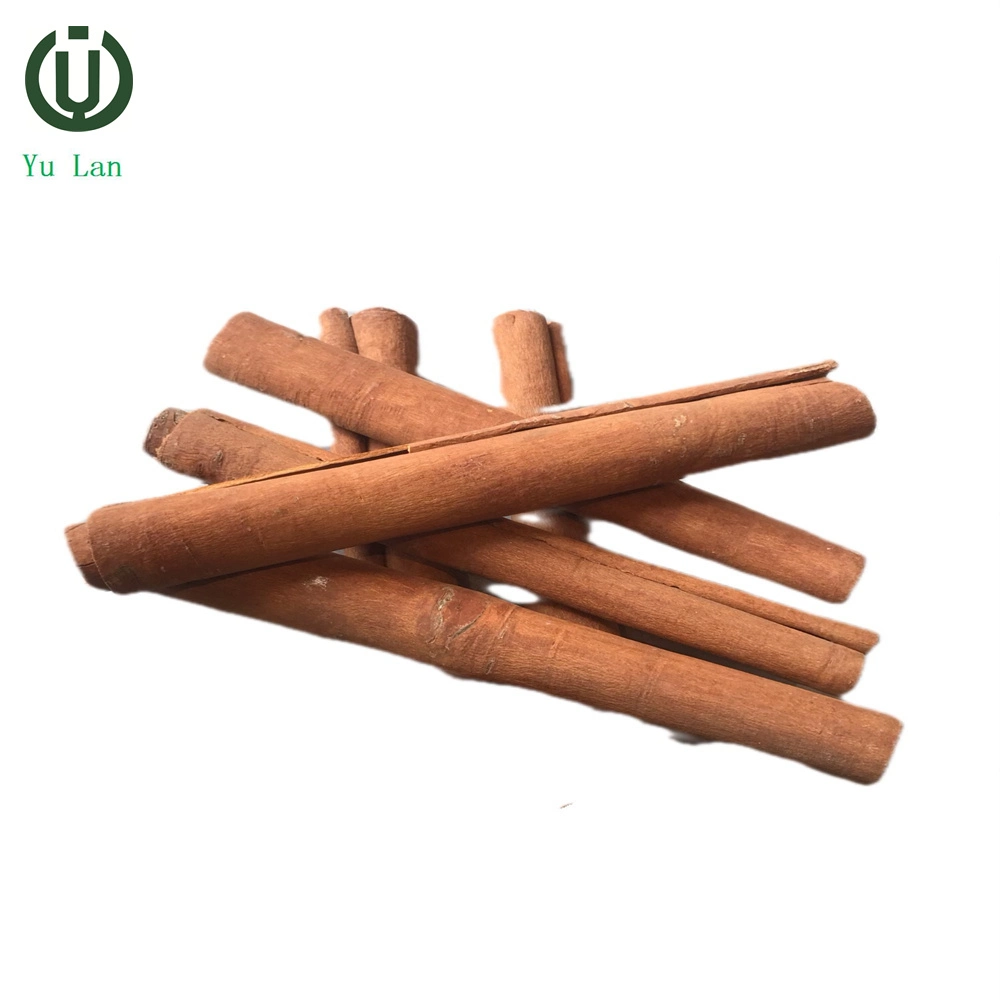 Plants Wholesale Cinnamon Cassia Bark Cinnamon Fragrance Cassia Tube